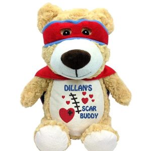Personalised Hero Bear Cubby